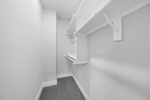 walk in closet with dark carpet