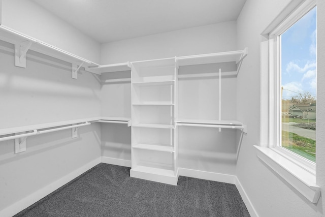 spacious closet with dark carpet