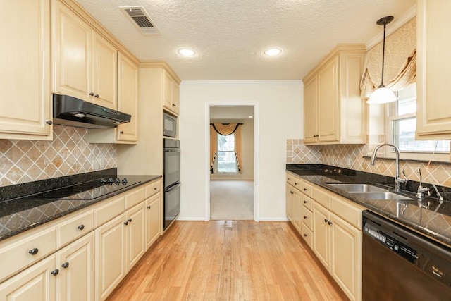 kitchen featuring sink, hanging light fixtures, a healthy amount of sunlight, light hardwood / wood-style floors, and black appliances