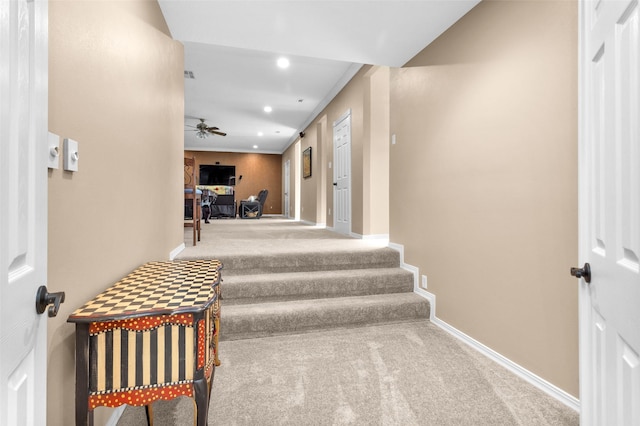 stairs with ceiling fan and carpet