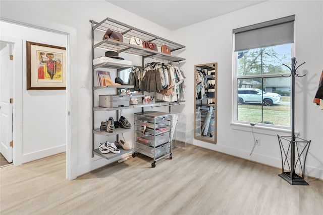 spacious closet featuring light wood-type flooring