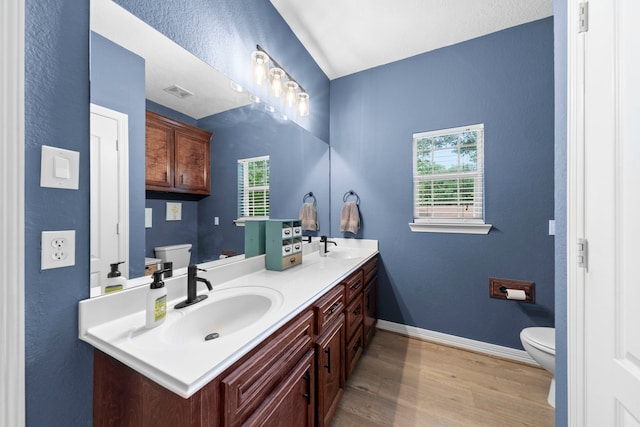 bathroom featuring vanity, toilet, and hardwood / wood-style floors