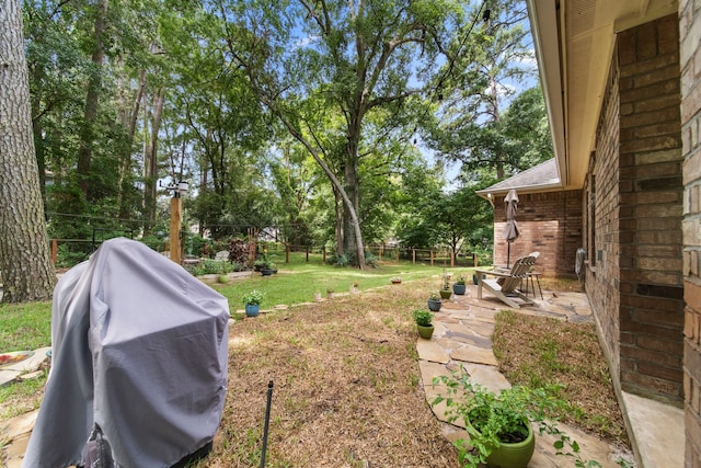 view of yard with a patio area