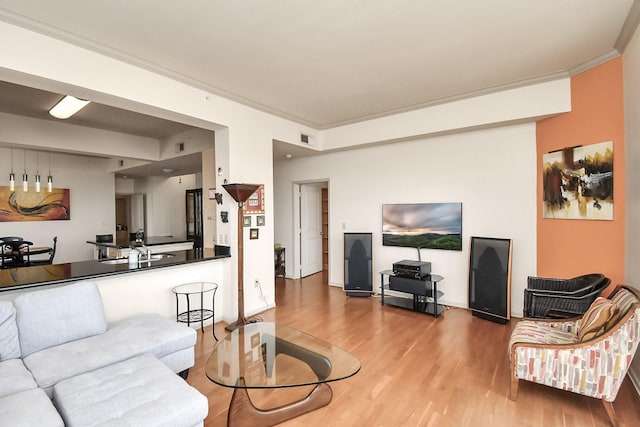 living room featuring wood-type flooring, sink, and crown molding