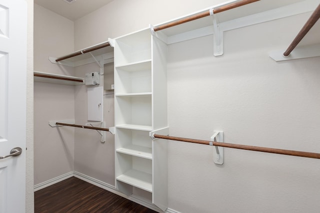 spacious closet featuring dark hardwood / wood-style flooring