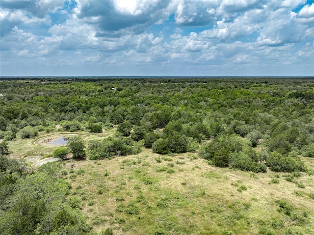 5850 Brown Rd, Flatonia, TX 78941