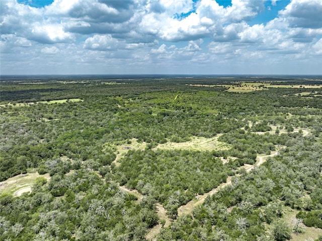 5850 Brown Rd, Flatonia, TX 78941