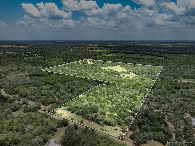 5850 Brown Rd, Flatonia, TX 78941