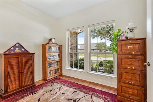 living area featuring light hardwood / wood-style flooring and plenty of natural light