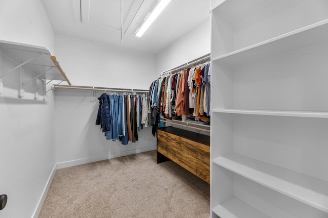 spacious closet with carpet