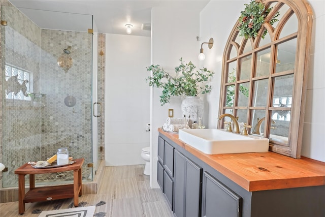 bathroom with vanity, a shower with door, and toilet