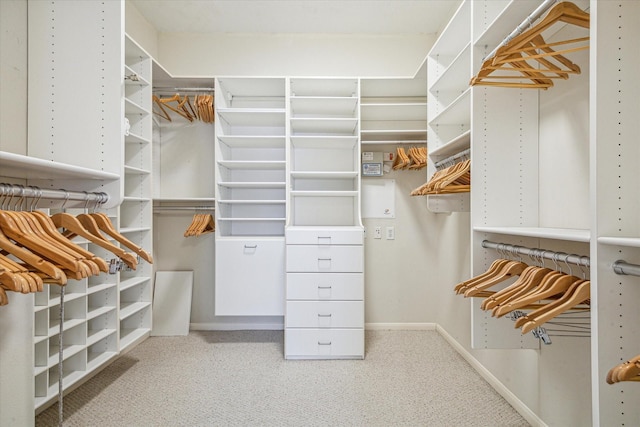 walk in closet featuring carpet floors