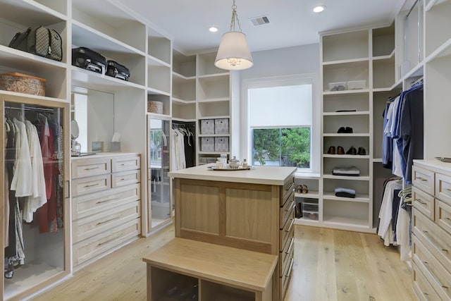 spacious closet with light hardwood / wood-style flooring