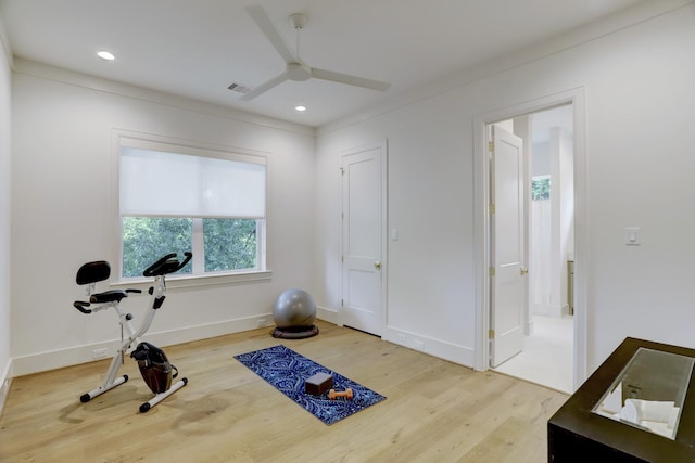 workout room featuring hardwood / wood-style floors and ceiling fan