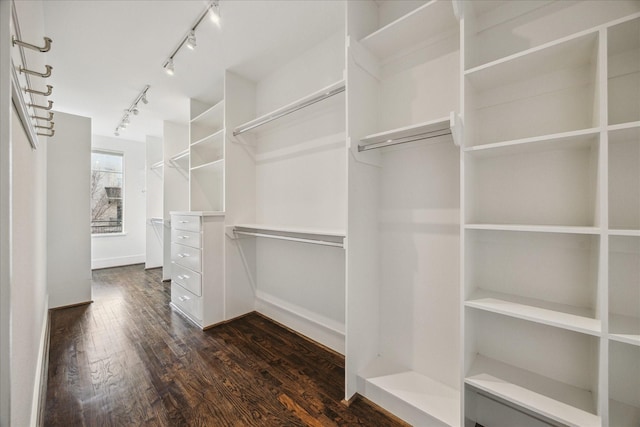 walk in closet featuring dark hardwood / wood-style flooring