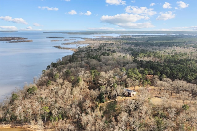 bird's eye view with a water view and a wooded view