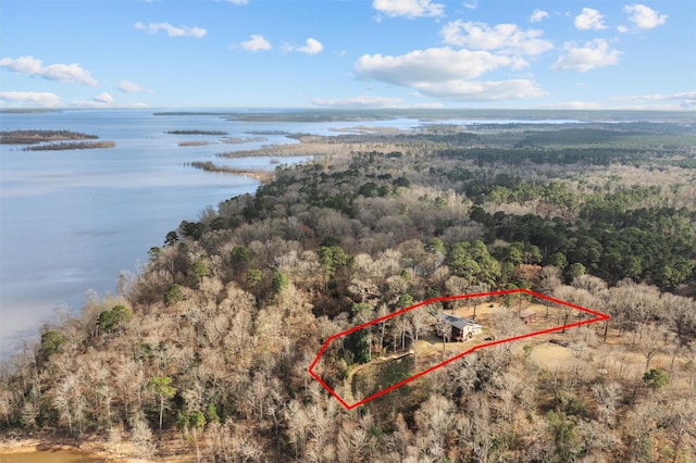 aerial view featuring a forest view and a water view