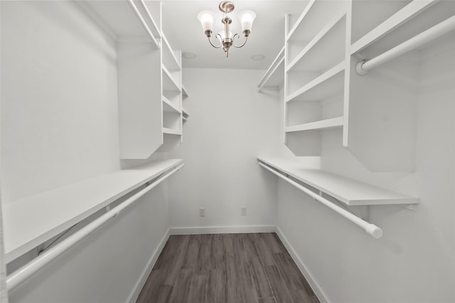 spacious closet with dark hardwood / wood-style floors and a chandelier