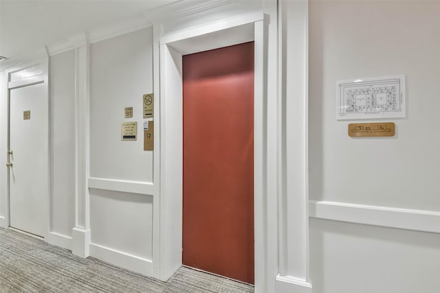 interior details featuring carpet flooring and elevator