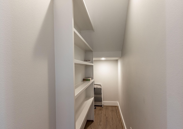 walk in closet featuring dark wood-type flooring