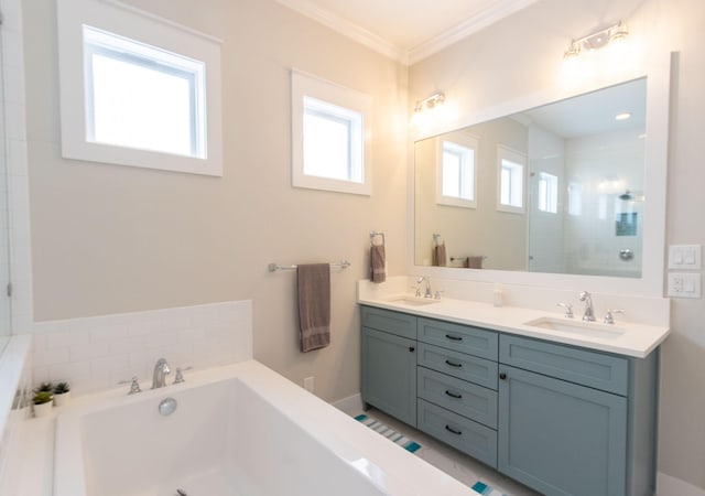 bathroom with ornamental molding, plenty of natural light, and a sink