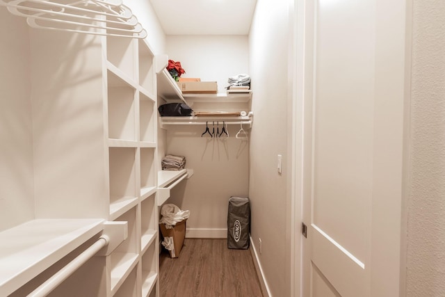 walk in closet with wood finished floors