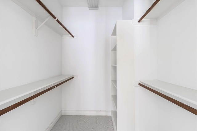 spacious closet with light carpet