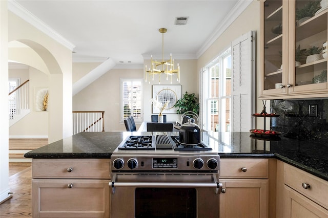 kitchen featuring crown molding, stainless steel range with gas stovetop, and dark stone counters