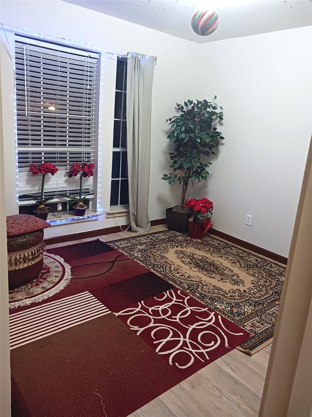 living area with light hardwood / wood-style floors