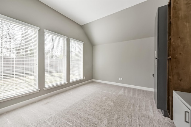 additional living space with light carpet and lofted ceiling