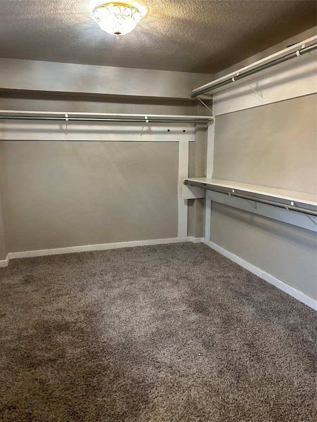 231 Dehart St Unit Cr653, Liverpool, TX 77577 - walk in closet with carpet floors