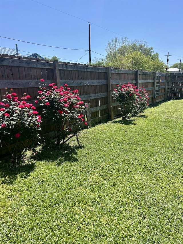 231 Dehart St Unit Cr653, Liverpool, TX 77577 - view of yard