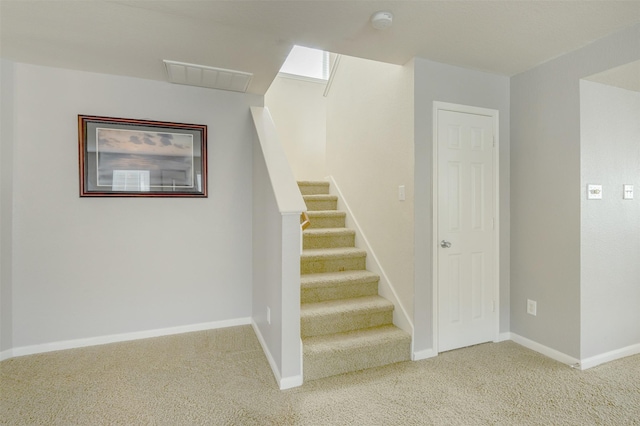 stairs with carpet