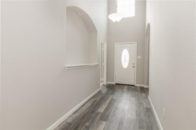 entryway with dark hardwood / wood-style floors