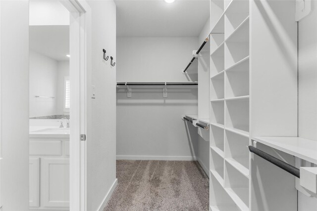 walk in closet with a sink and carpet floors