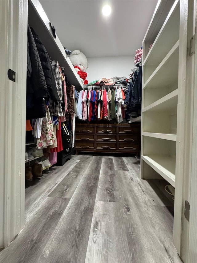 spacious closet with hardwood / wood-style floors