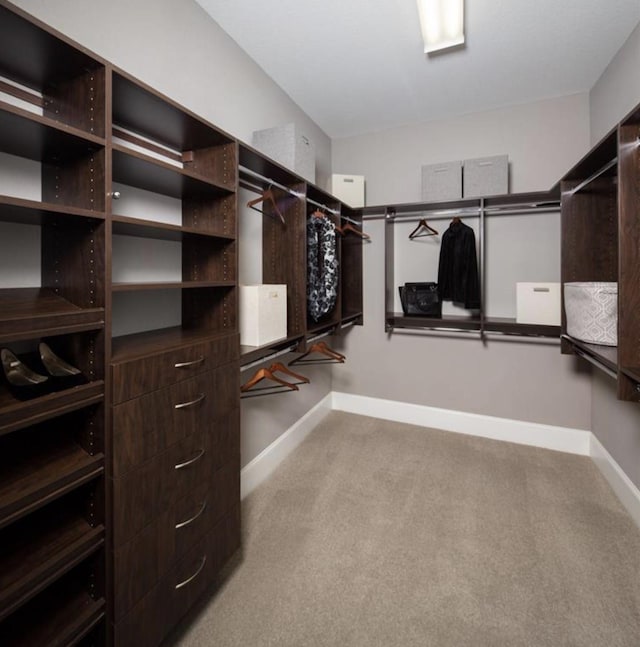 walk in closet featuring light carpet