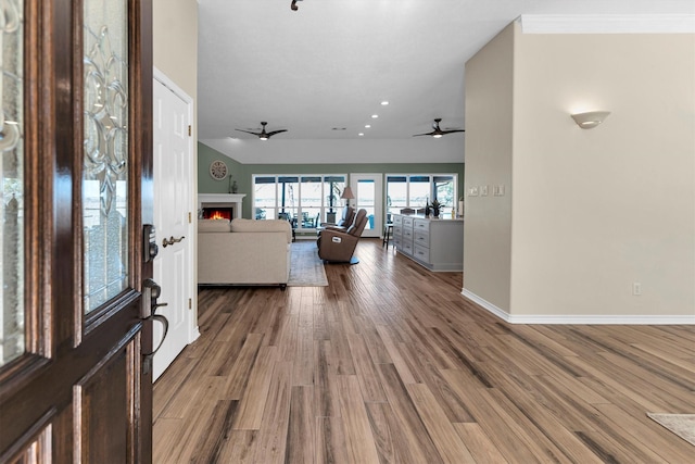 foyer entrance featuring ceiling fan and wood-type flooring