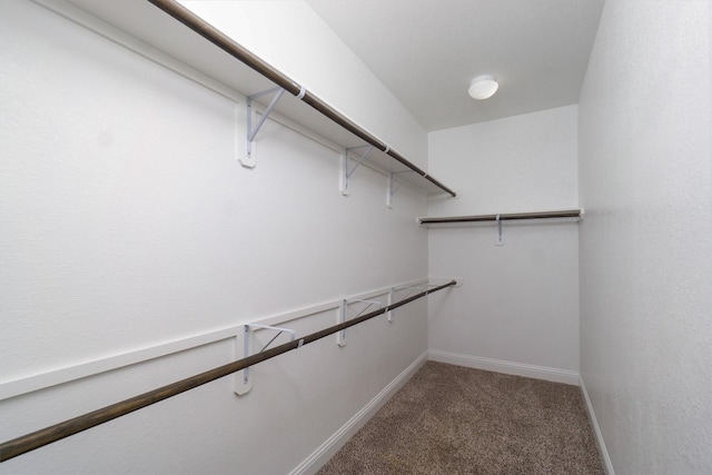 spacious closet with carpet