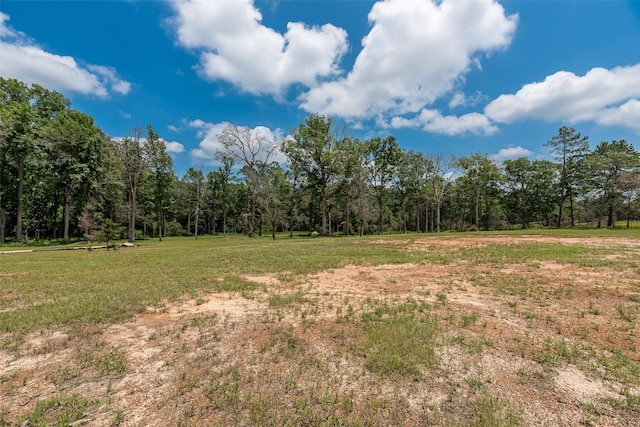 3130 Pine, Cleveland, TX 77328 - photo 5