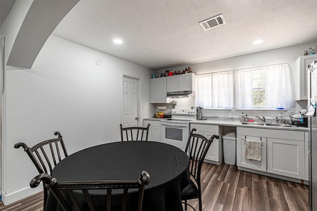 dining area featuring sink, a textured ceiling, and dark hardwood / wood-style flooring