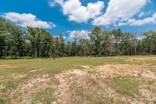 3130 Pine, Cleveland, TX 77328 - photo 25