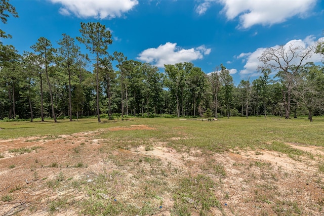 3130 Pine, Cleveland, TX 77328 - photo 26