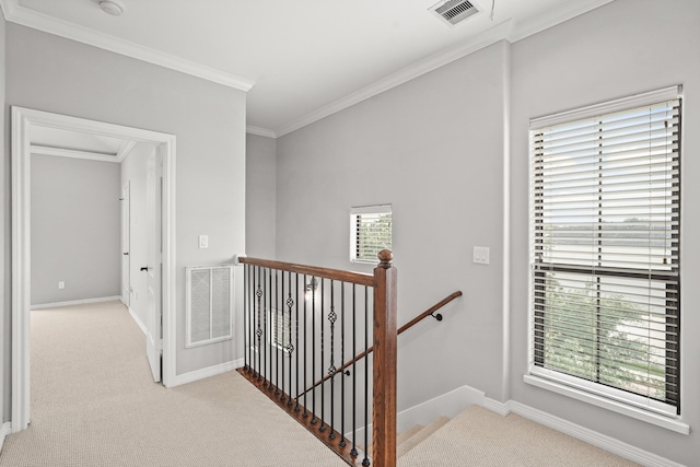 stairs featuring ornamental molding and carpet flooring