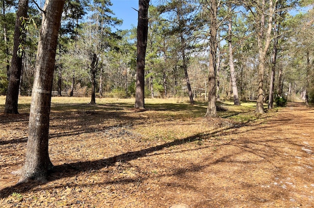 Listing photo 2 for TBD Kent St, New Caney TX 77357