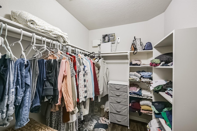 walk in closet featuring hardwood / wood-style floors