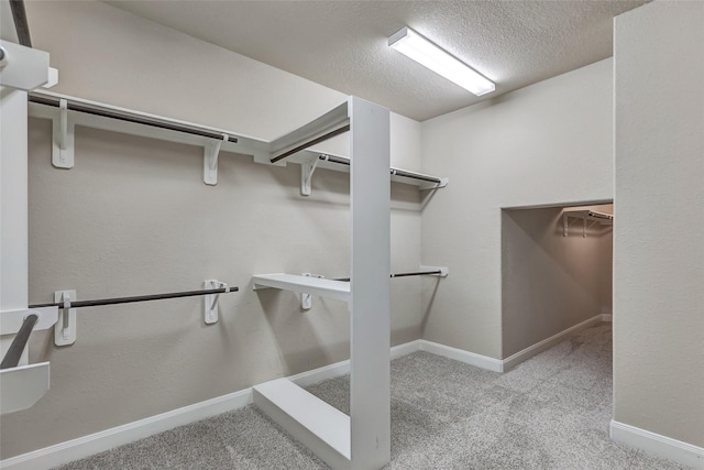 spacious closet with light colored carpet