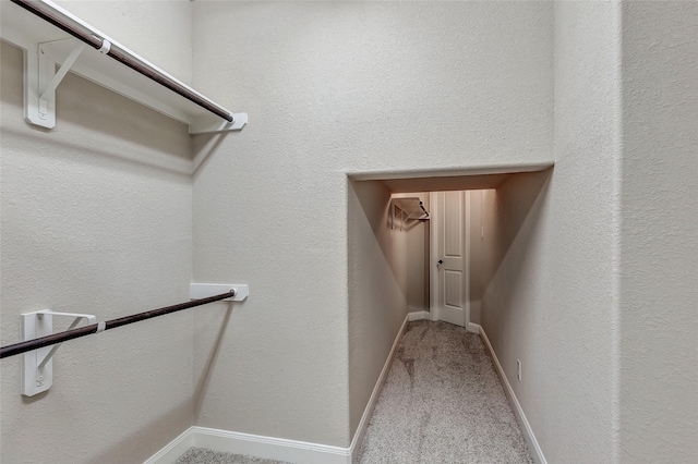 walk in closet featuring light colored carpet