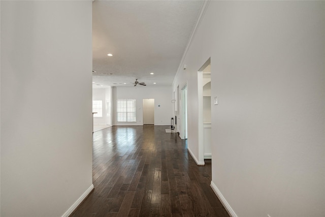 corridor featuring ornamental molding and dark hardwood / wood-style flooring