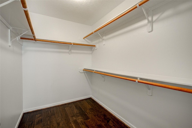 walk in closet with hardwood / wood-style flooring